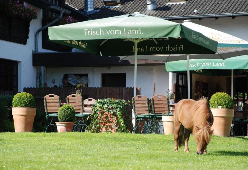 Landhotel Linden Am Venekotensee Niederkrüchten Exteriör bild